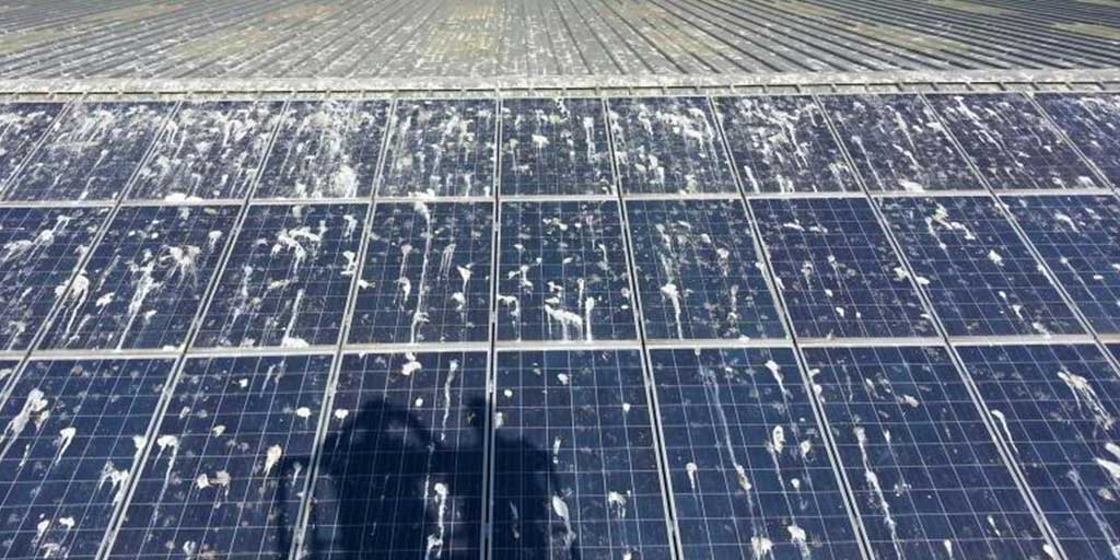 how to clean solar panels
