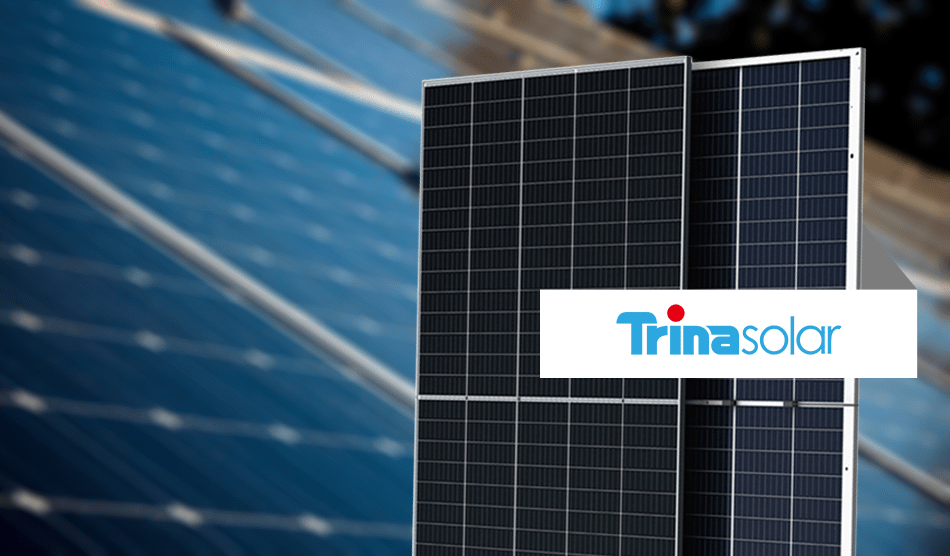Trina Solar is the best option and cost-effective