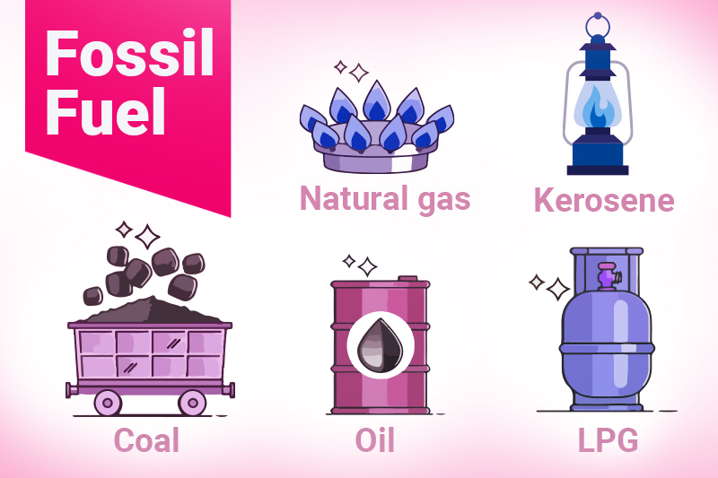 understanding of fossil fuel types