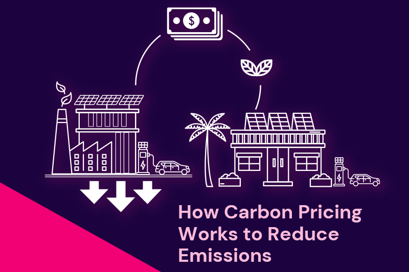 How Carbon Pricing Works to Reduce Emissions