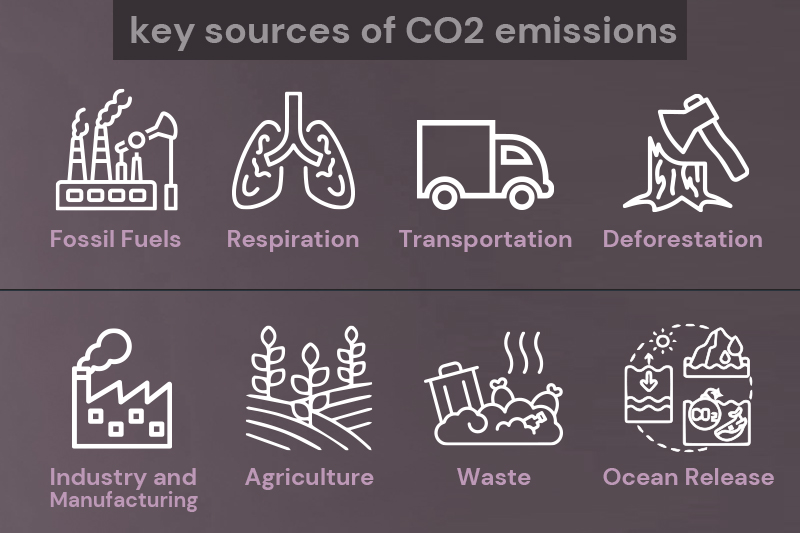 Key Sources of carbon emisssion in australia