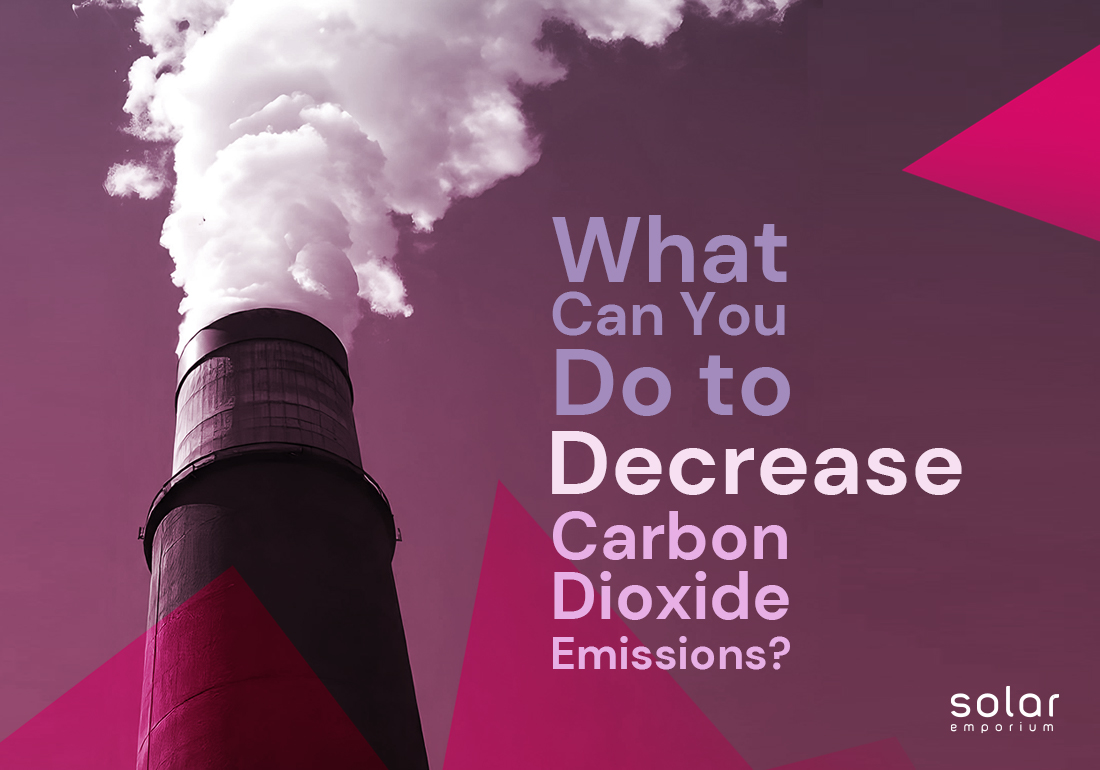 What Can You Do to Decrease Carbon Dioxide Emissions