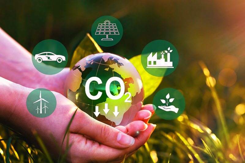 Sustainable Home Journey